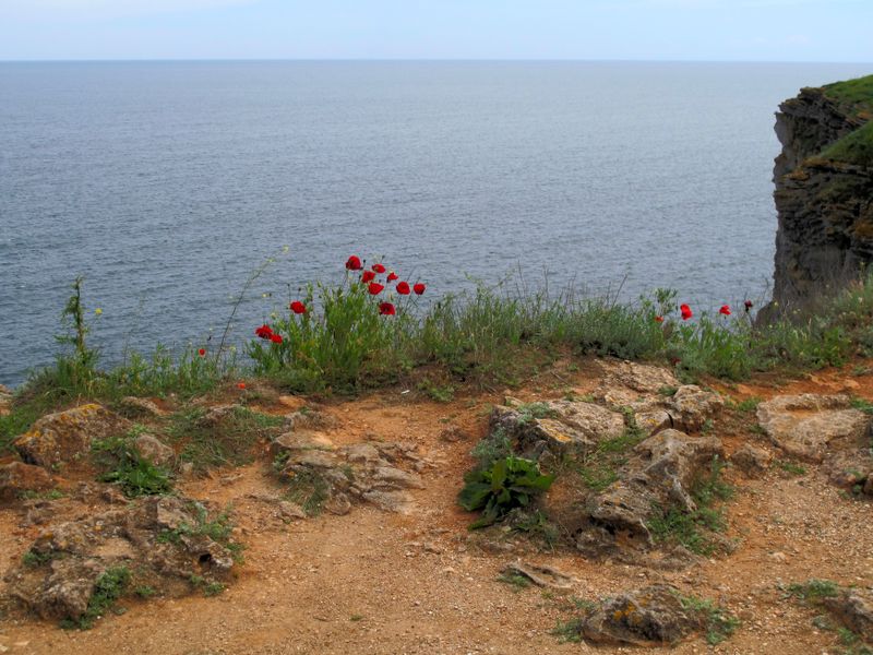 The Silver Sea