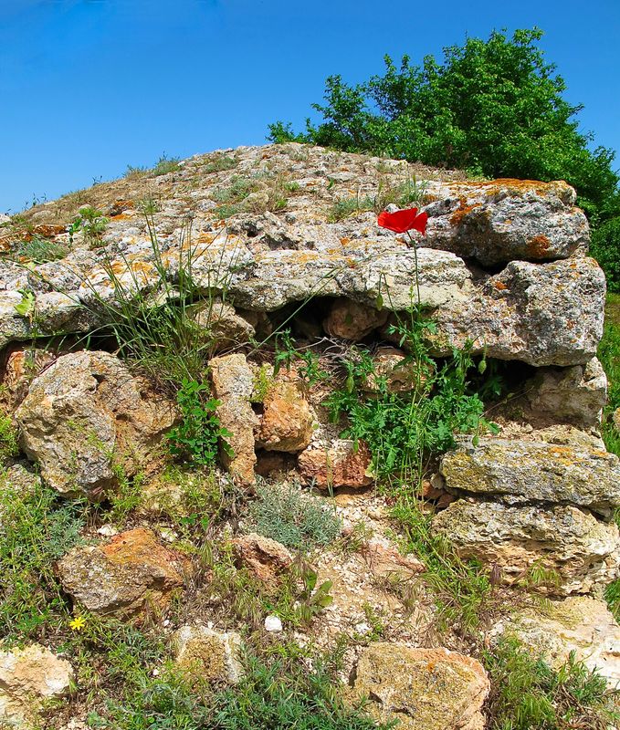 Cape Kaliakra