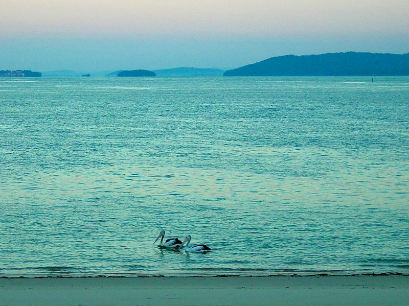 Nelson Bay - Port Stephens -  NSW