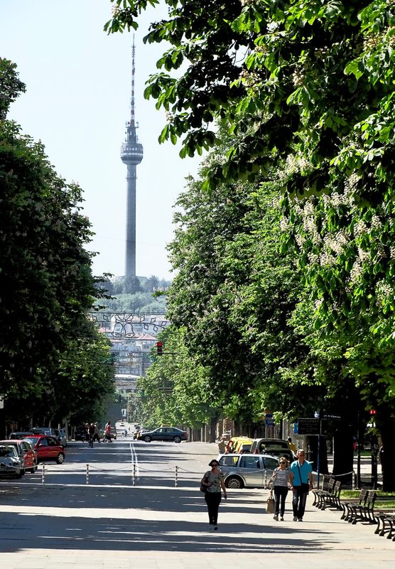 Ruse leafy parks and streets -  The TV Tower