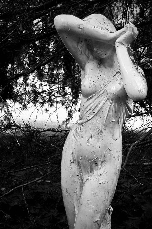 garden beauty