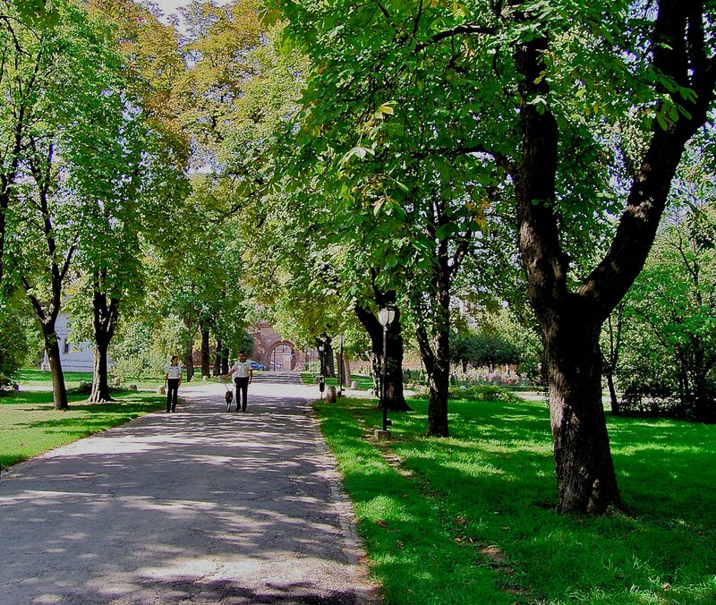 The elegant and long, majestic alley leading to the Palace gate