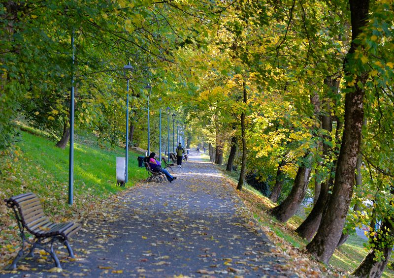 Autumn colours 