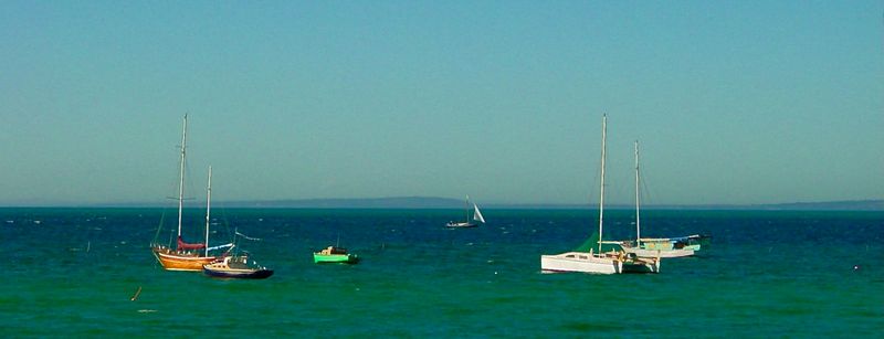 serene sailing on the bay