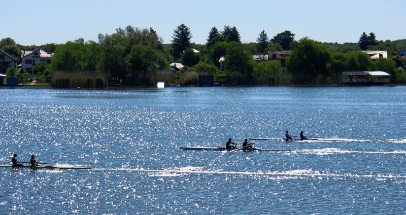 champions rowing team training morning