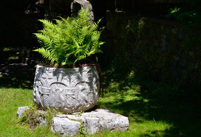 Garden Flowers Container