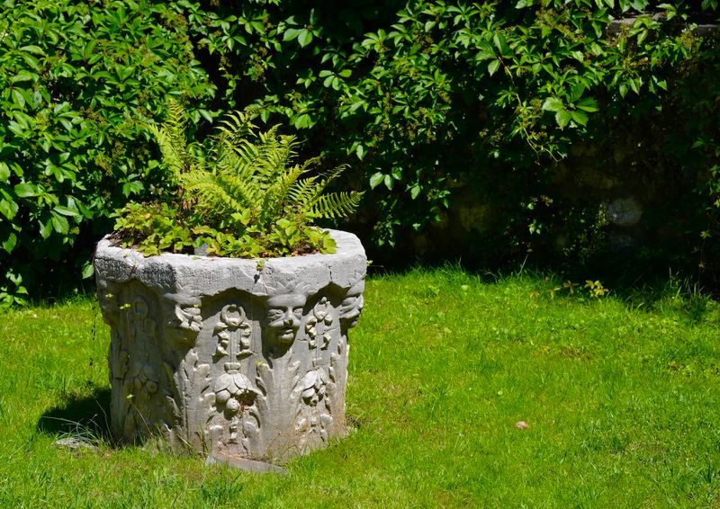Garden Flowers Container