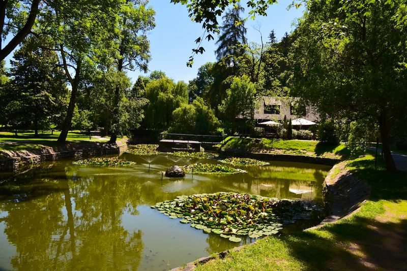 Bran Castle Lake, Park  and Restaurant 