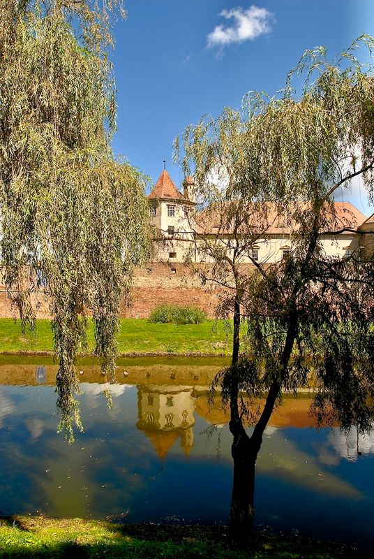 Weepping Willows Moat and Castle