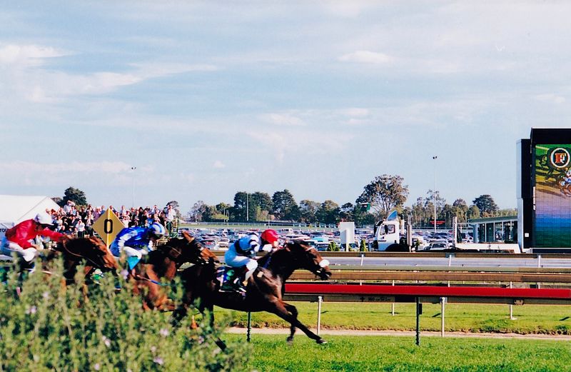 Horse Racing Gallery