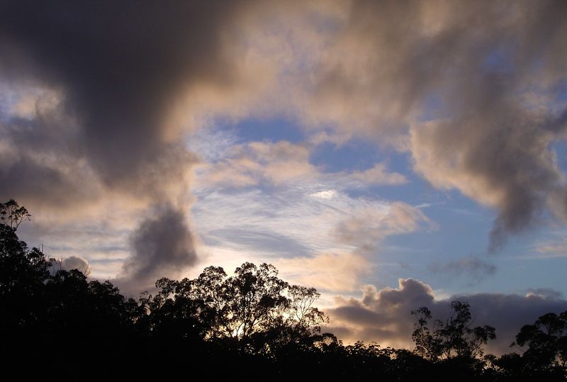 Morning sky in the backyard