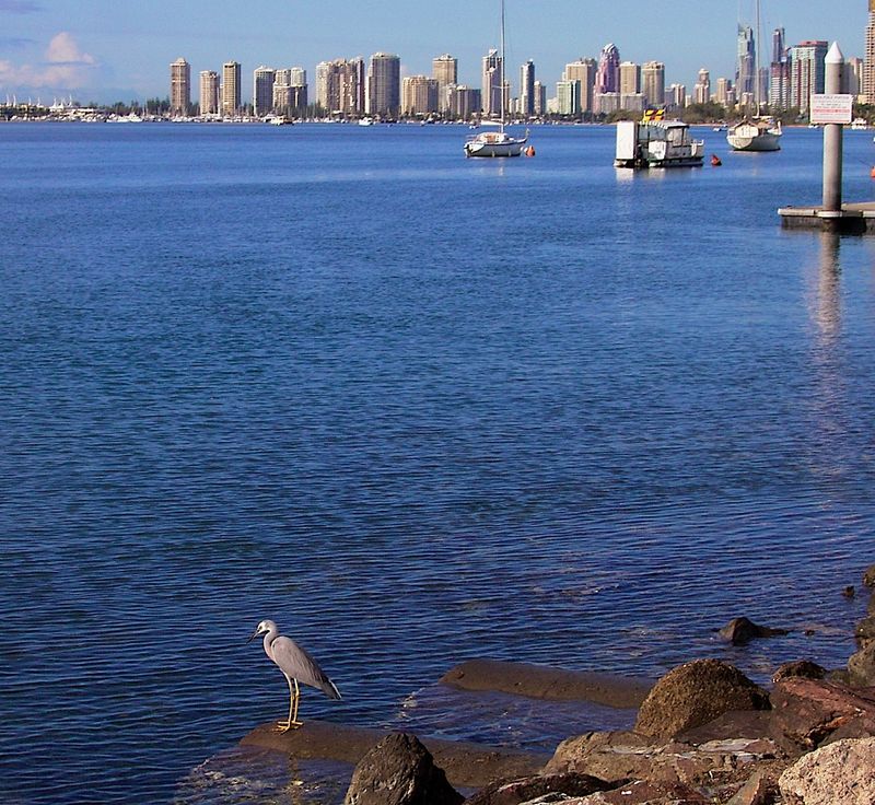 The Gold Coast - Surfers Paradise QLD