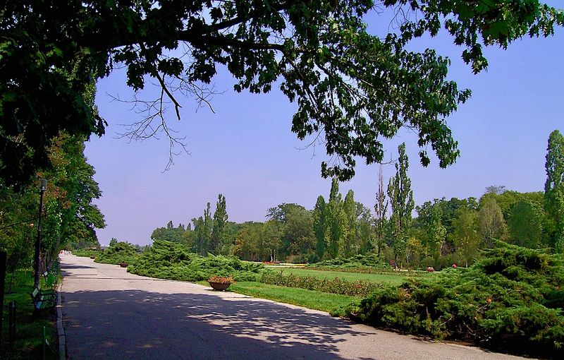 Herastrau Park - King Michael I of Romania Park entry alleys