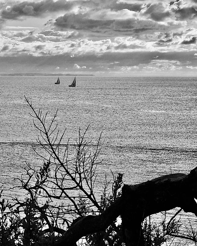 Rushing home Port Phillip Bay