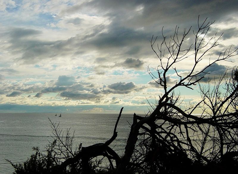 The immensity of the bay - Port Phillip Bay