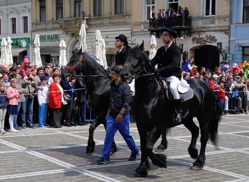 Junii Brașovului - The Feast of Youth Gallery