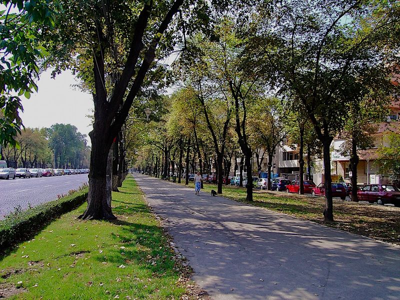 Bulevardul Aviatorilor - Aviators Boulevard