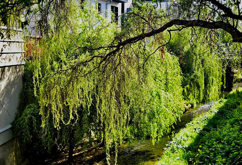Turda City - Cluj County Gallery
