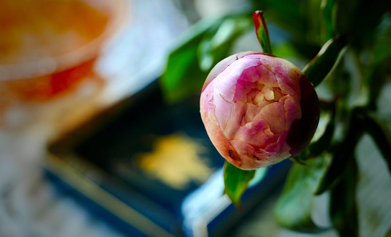 peony charm