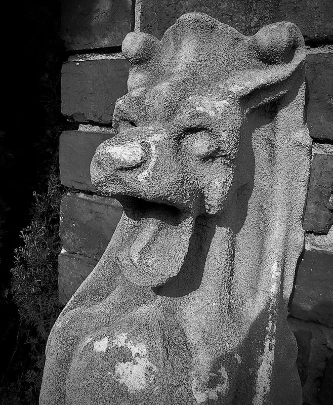 Street B&W Photography & Simple B&W Gallery