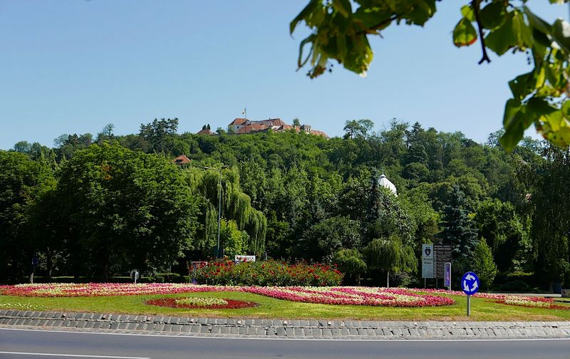 Brașov Romania Gallery