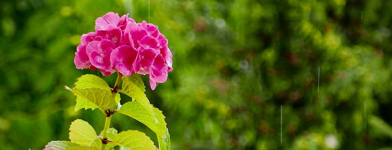 PANASONIC LX 100 I Gallery
