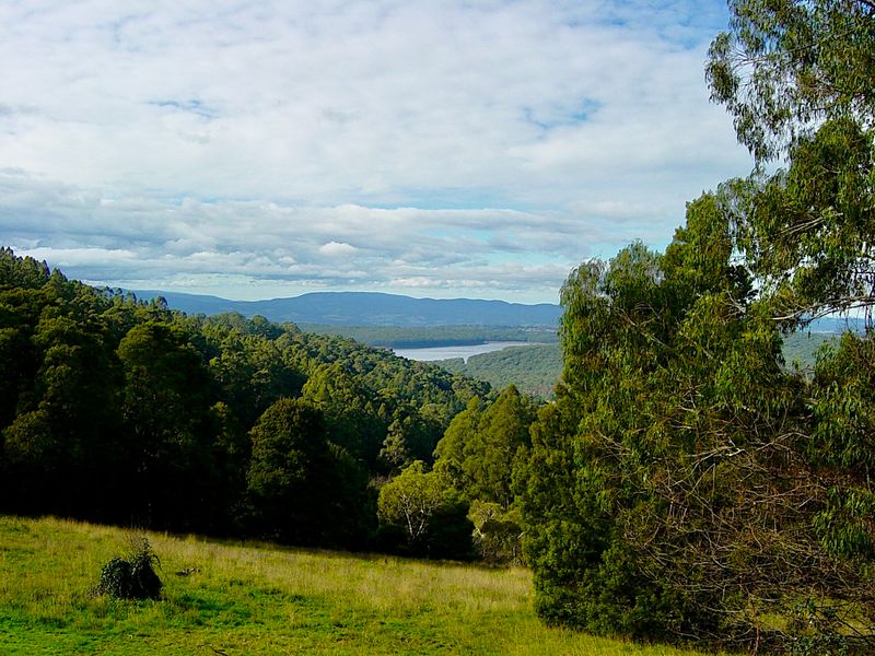 Victoria Australia, Melbourne, including William Rickets Forest Sanctuary, Graffiti, Posters and Street Art Gallery