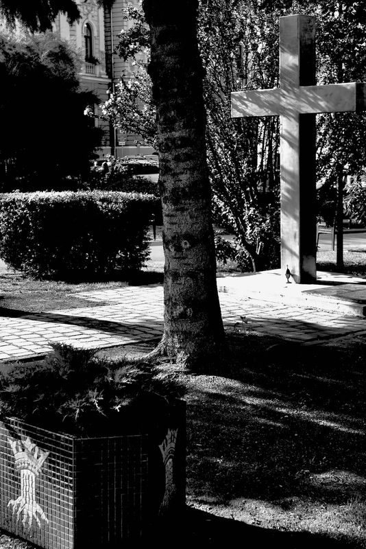Street B&W Photography & Simple B&W Gallery