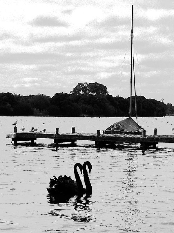 Street B&W Photography & Simple B&W Gallery