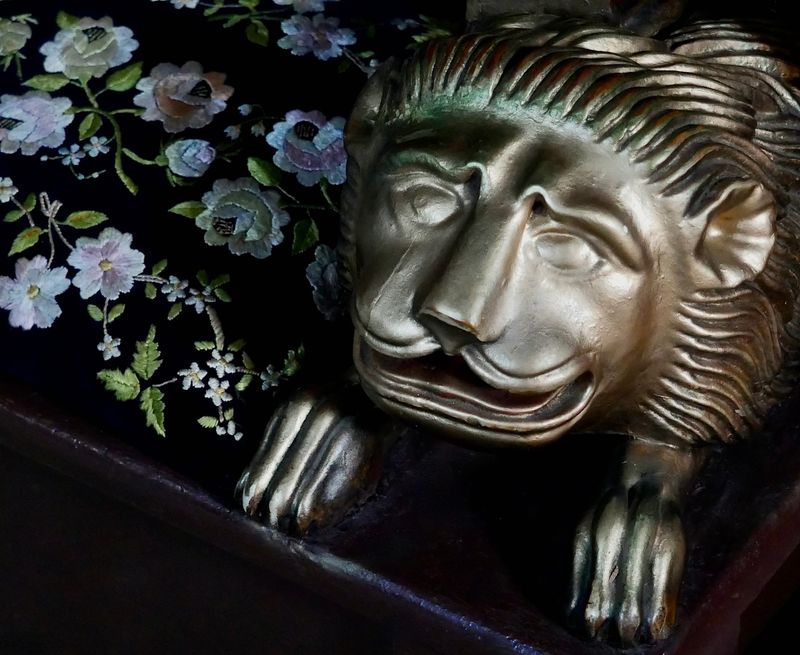 The Splendour of the Lion