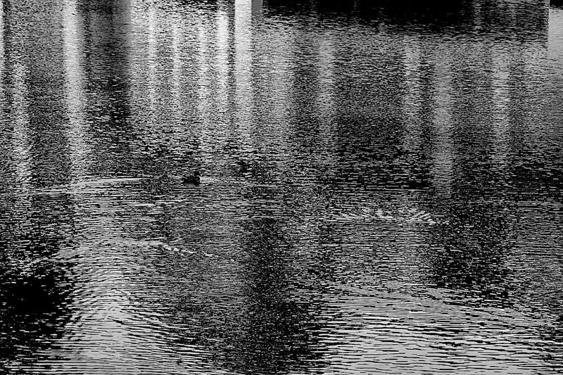 Street B&W Photography & Simple B&W Gallery