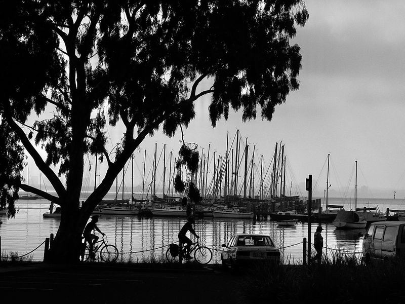 Williamstown Vic Marina