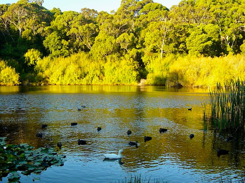 Daylesford Caravan Park Lake