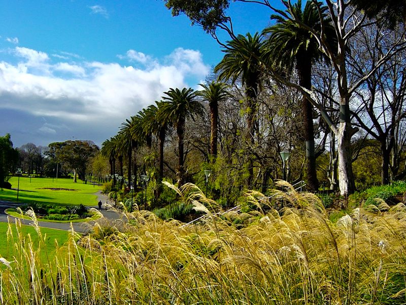 Victoria Australia, Melbourne, including William Rickets Forest Sanctuary, Graffiti, Posters and Street Art Gallery