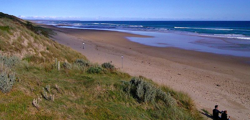 Victoria Australia, Melbourne, including William Rickets Forest Sanctuary, Graffiti, Posters and Street Art Gallery