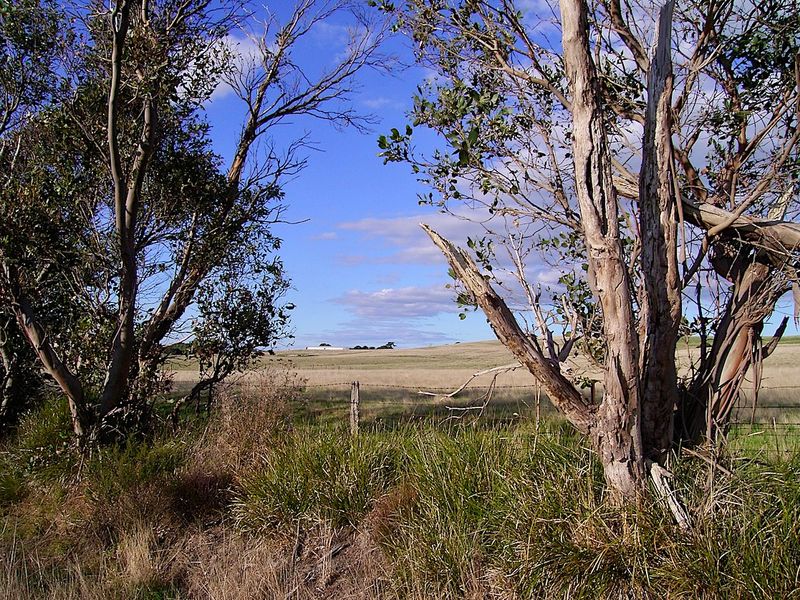 Countryside Victoria Gallery