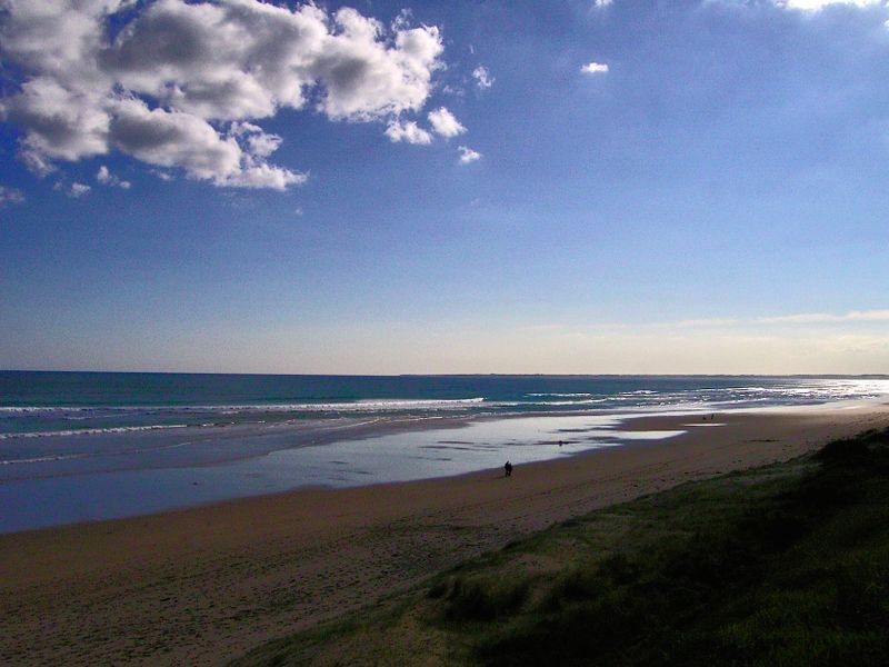 Victoria Australia, Melbourne, including William Rickets Forest Sanctuary, Graffiti, Posters and Street Art Gallery