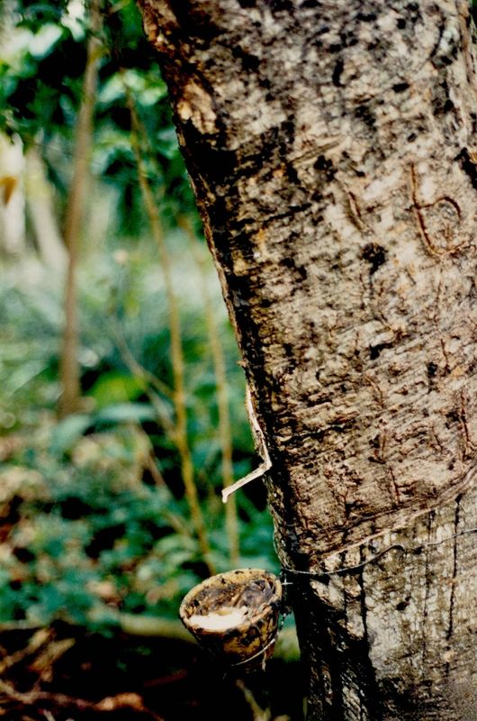 Malaysia