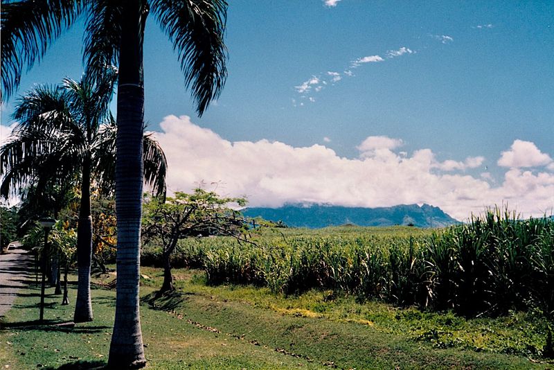 the tropics caracteristic landscape Viti Levu Fiji main island
