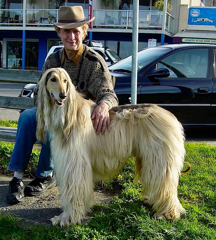 Phoenix  Kazz Jacosta  Saltimbanco Gallery