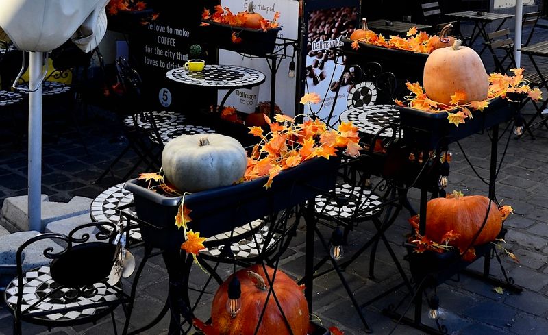 Brașov Romania Gallery