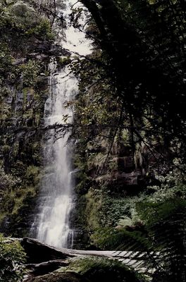 g13/45/8077745/3/175371196.613e37a7.JPEG