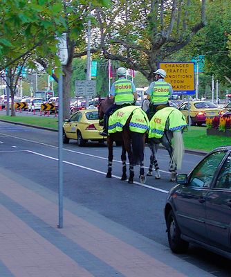 g13/45/8077745/3/175395799.0acb6080.JPEG