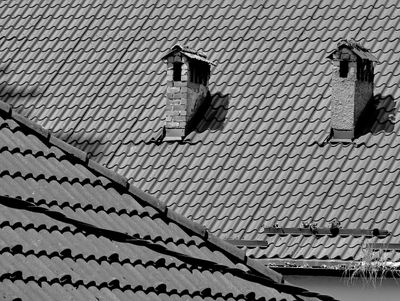g13/45/8077745/3/175543921.45dd1696.JPEG