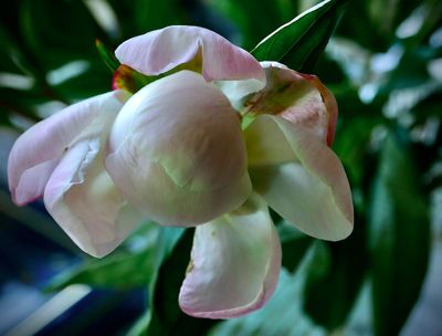 g13/45/8077745/3/175560940.12a6abf5.JPEG