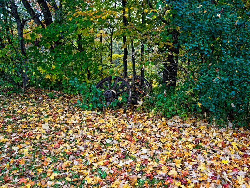 PA073945_DxO