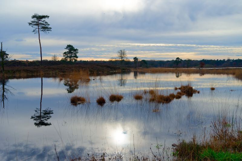 DSC_0240_DxO.jpg