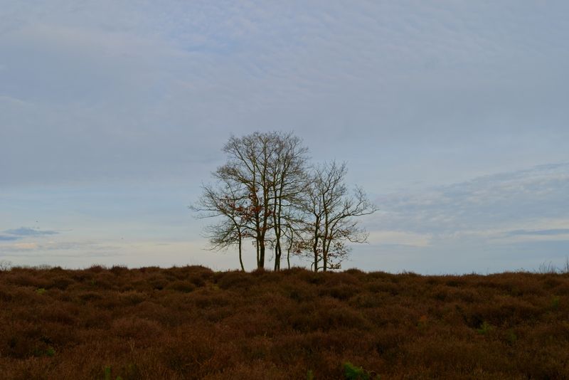 DSC_0259_DxO.jpg