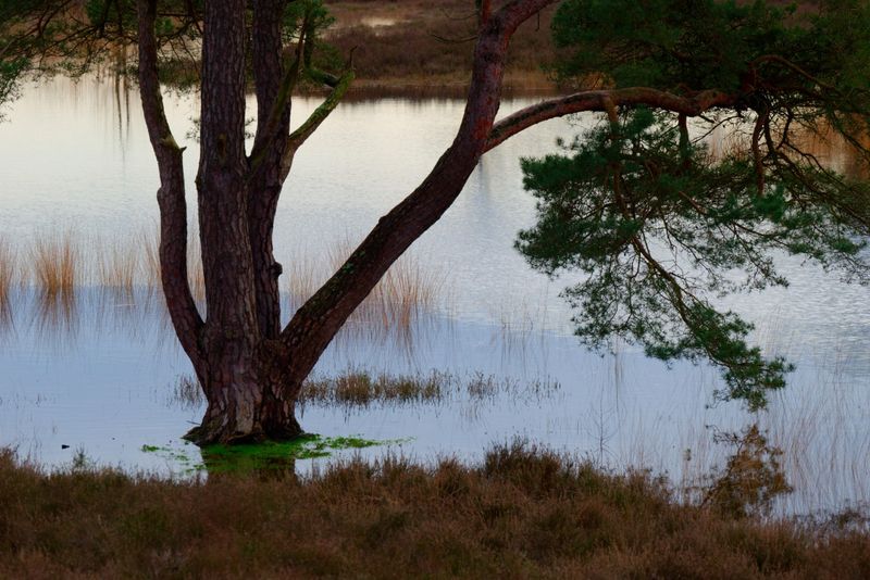DSC_0280_DxO.jpg