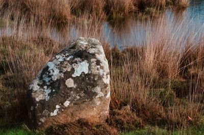 Carnac